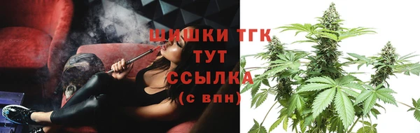 крисы Заводоуковск