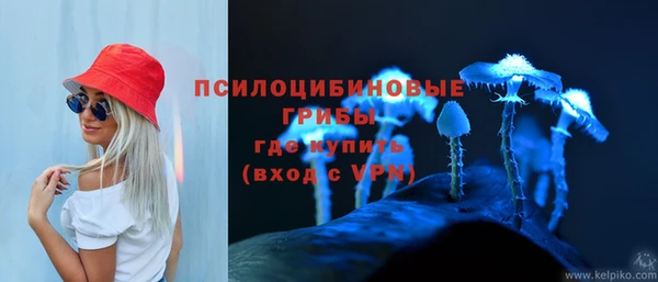 крисы Заводоуковск
