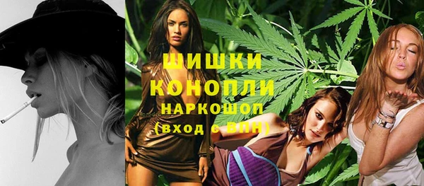 таблы Ельня