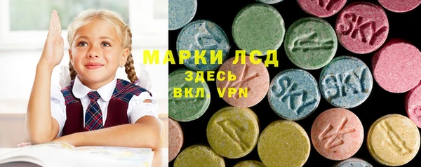 таблы Ельня