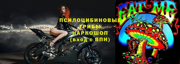 крисы Заводоуковск