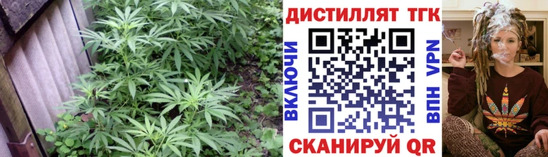 Купить  Перевоз  ТГК вейп 