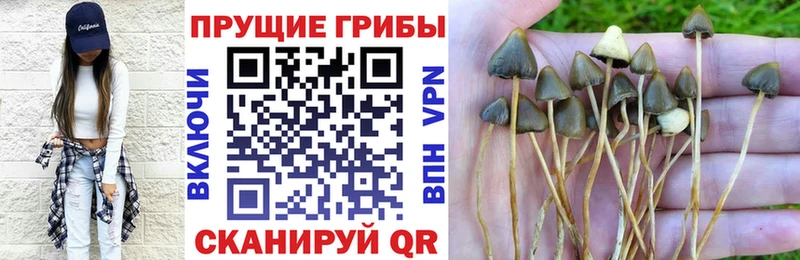 Купить  Перевоз  Галлюциногенные грибы ЛСД 
